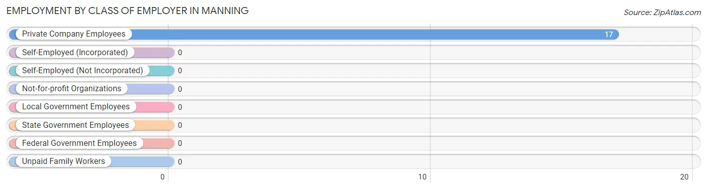 Employment by Class of Employer in Manning