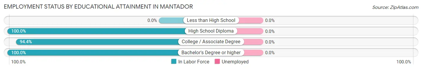 Employment Status by Educational Attainment in Mantador