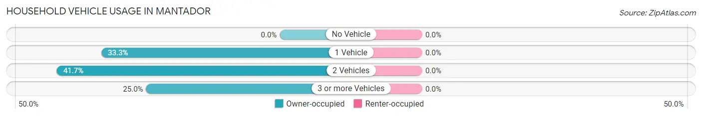 Household Vehicle Usage in Mantador
