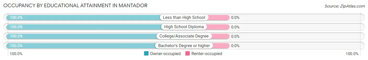 Occupancy by Educational Attainment in Mantador