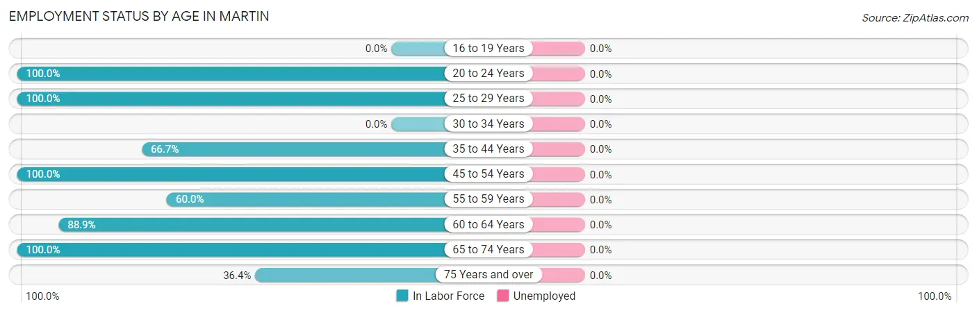 Employment Status by Age in Martin