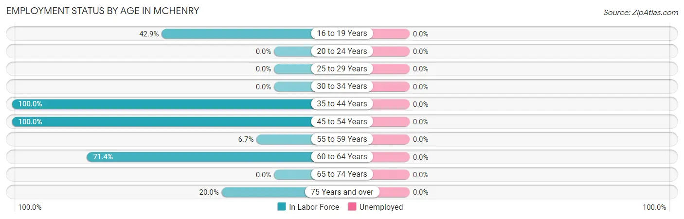 Employment Status by Age in Mchenry