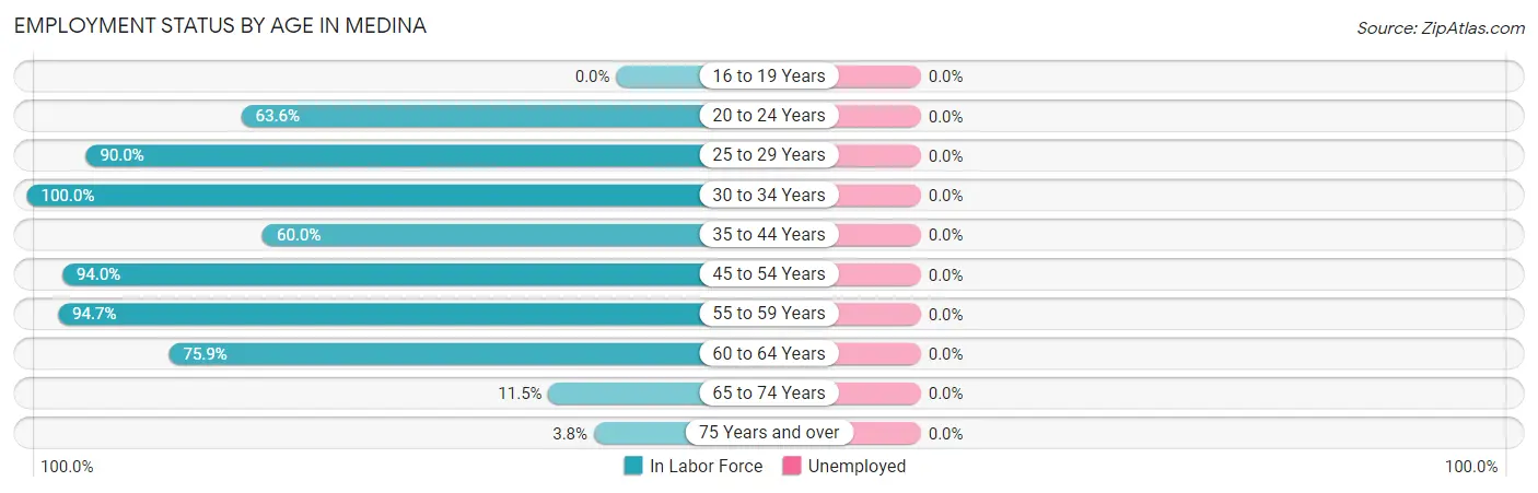 Employment Status by Age in Medina