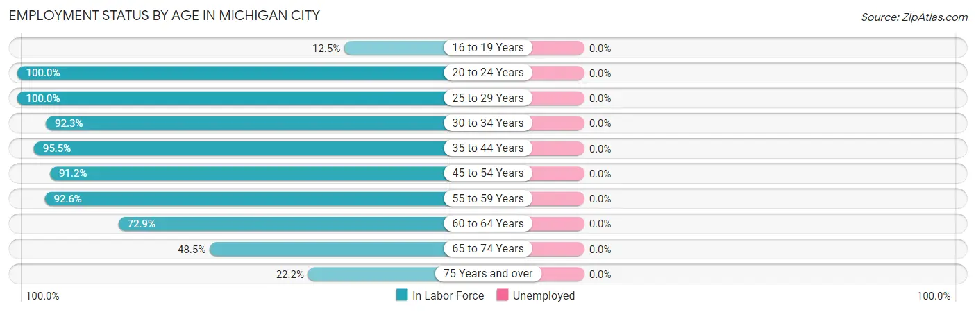 Employment Status by Age in Michigan City