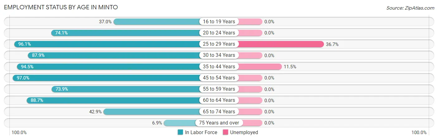Employment Status by Age in Minto