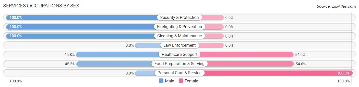 Services Occupations by Sex in Minto