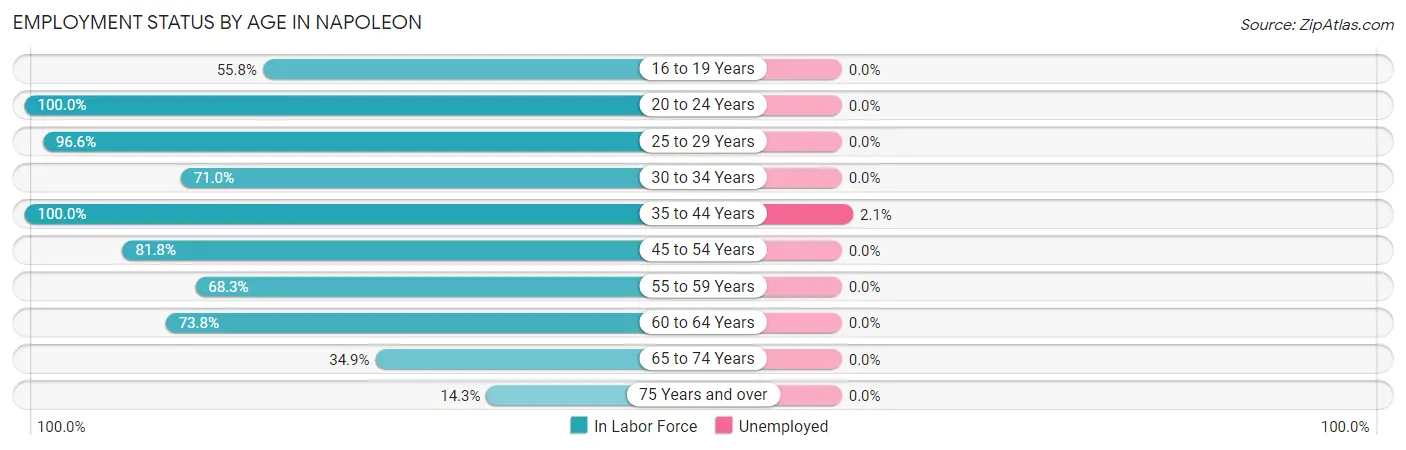 Employment Status by Age in Napoleon