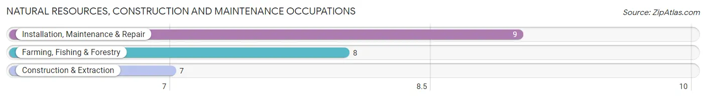 Natural Resources, Construction and Maintenance Occupations in Neche