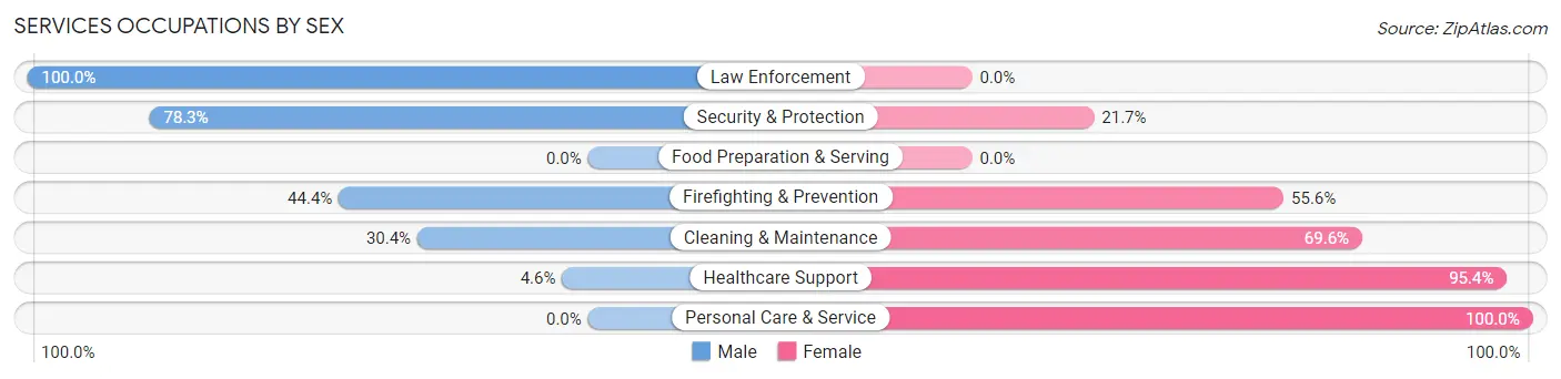Services Occupations by Sex in New Salem