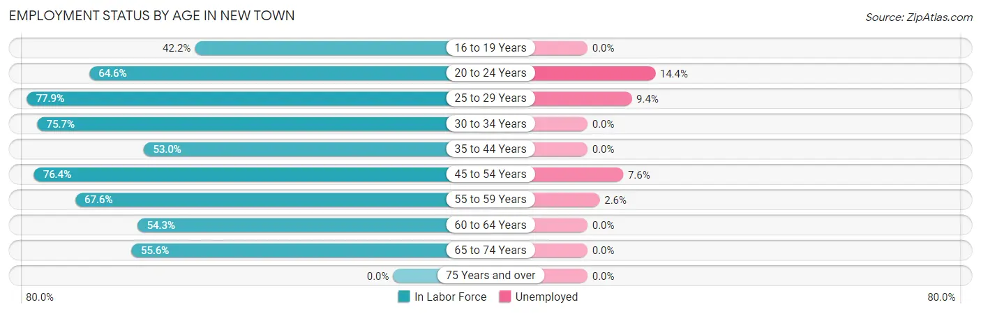 Employment Status by Age in New Town