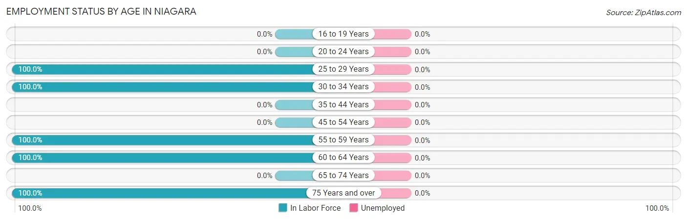 Employment Status by Age in Niagara