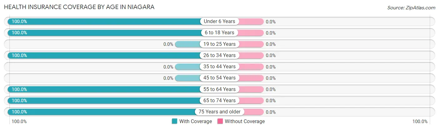 Health Insurance Coverage by Age in Niagara