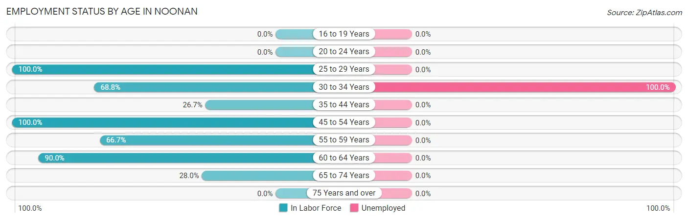 Employment Status by Age in Noonan