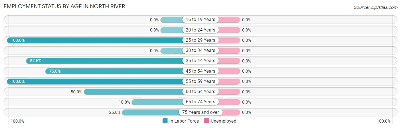 Employment Status by Age in North River