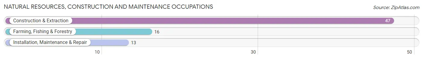 Natural Resources, Construction and Maintenance Occupations in Parshall