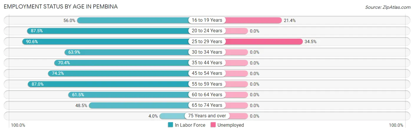 Employment Status by Age in Pembina