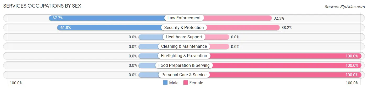 Services Occupations by Sex in Pembina
