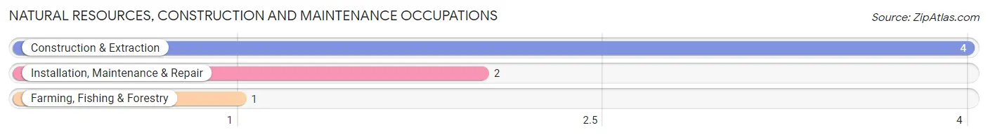 Natural Resources, Construction and Maintenance Occupations in Petersburg