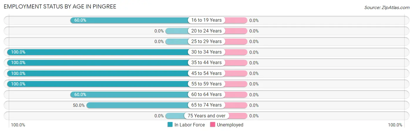 Employment Status by Age in Pingree