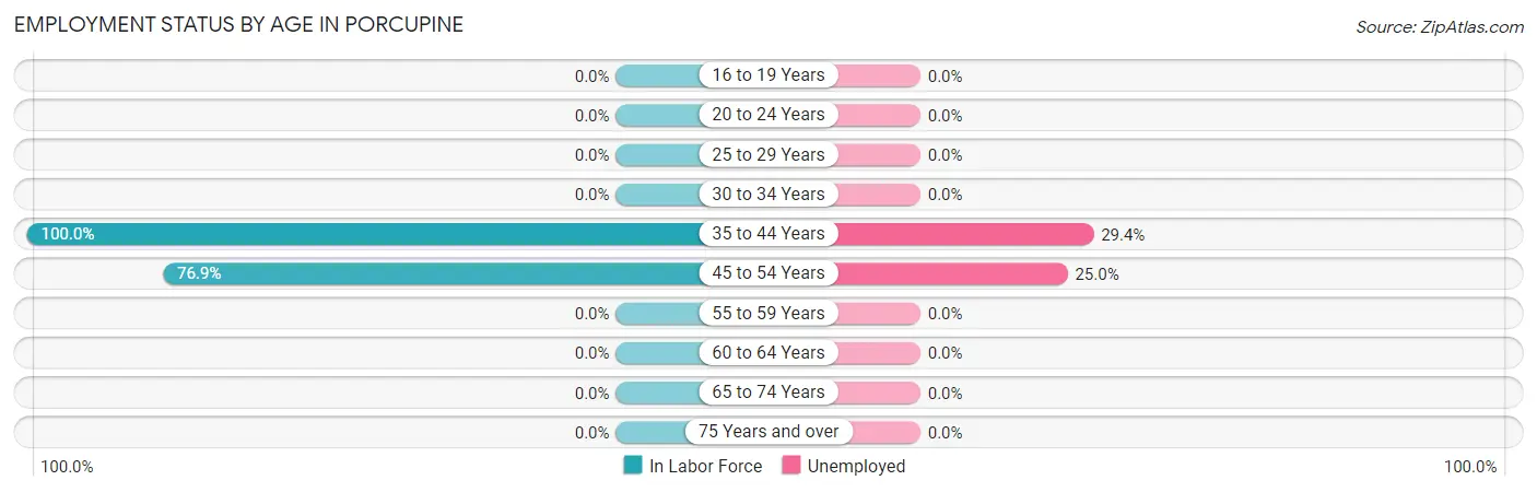 Employment Status by Age in Porcupine