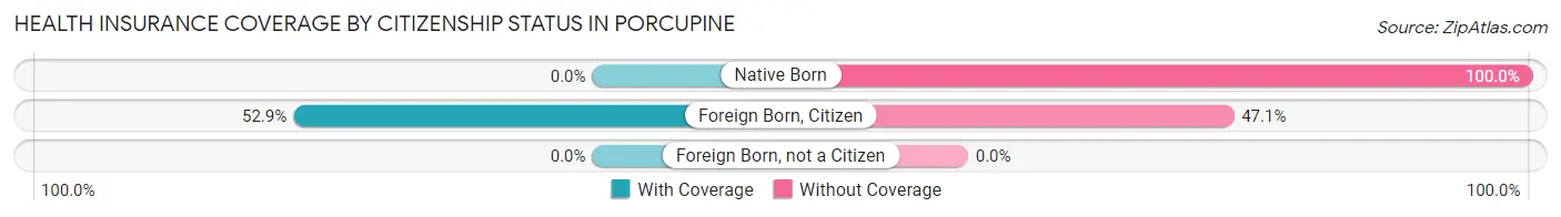 Health Insurance Coverage by Citizenship Status in Porcupine