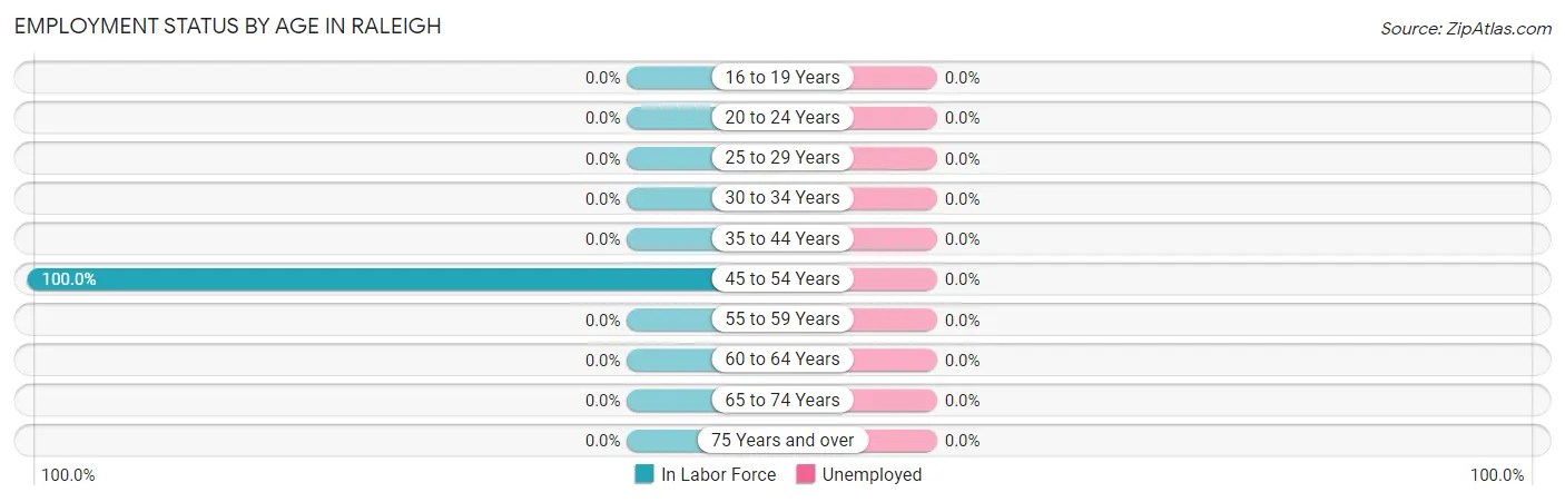 Employment Status by Age in Raleigh