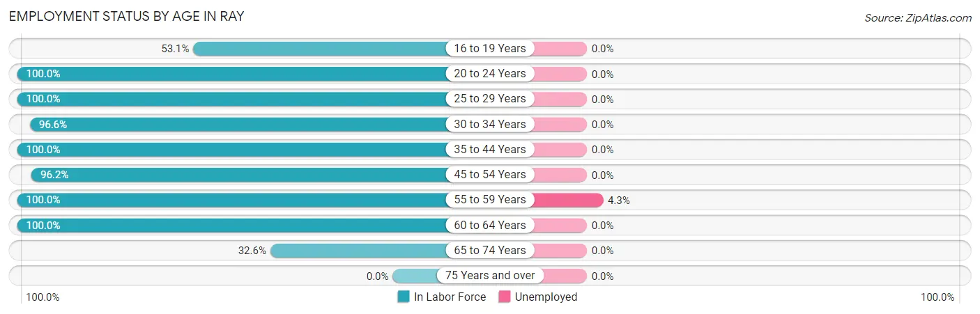 Employment Status by Age in Ray
