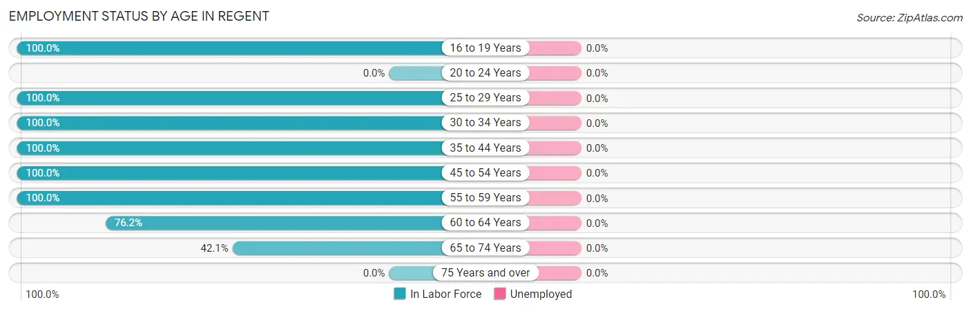 Employment Status by Age in Regent