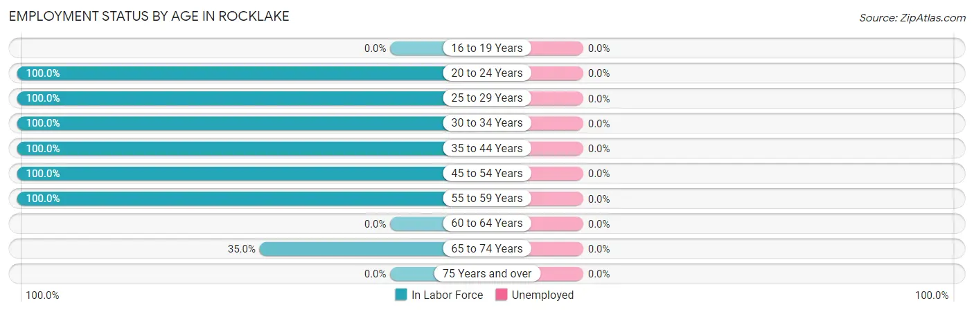 Employment Status by Age in Rocklake