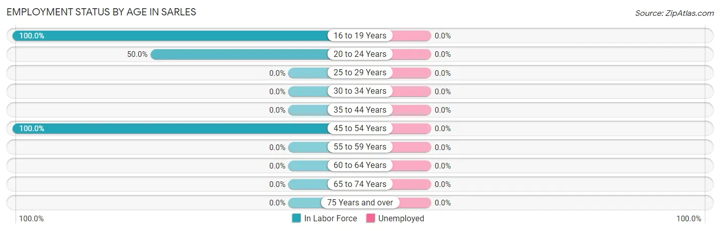 Employment Status by Age in Sarles