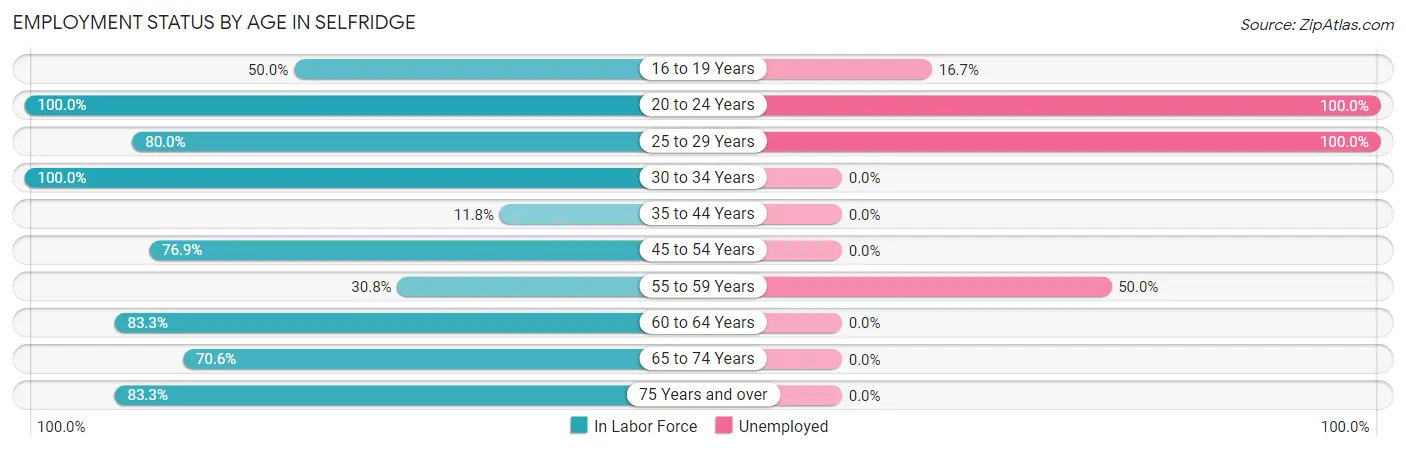 Employment Status by Age in Selfridge