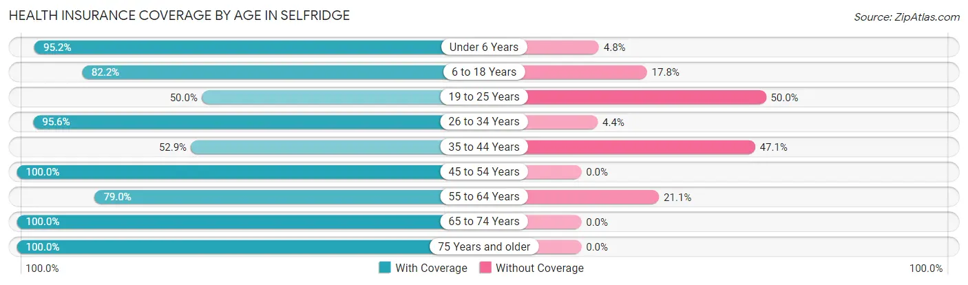 Health Insurance Coverage by Age in Selfridge