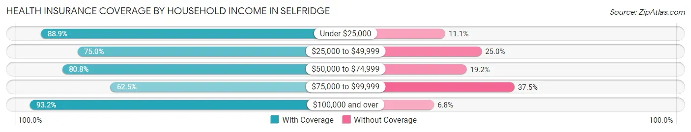 Health Insurance Coverage by Household Income in Selfridge