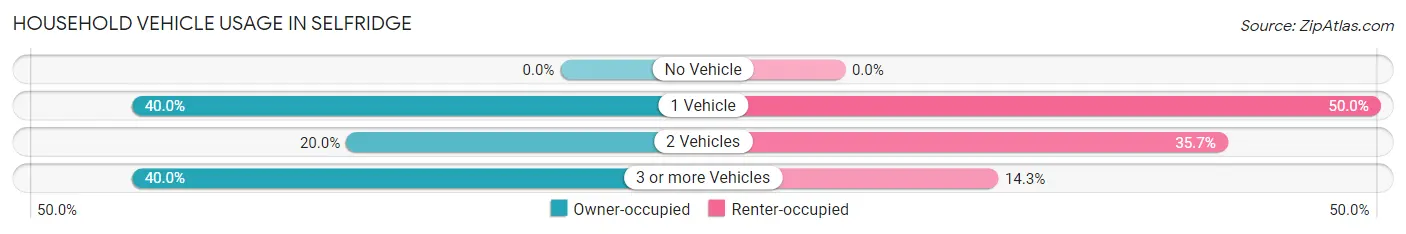 Household Vehicle Usage in Selfridge