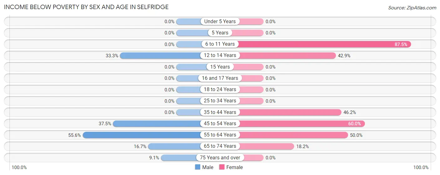 Income Below Poverty by Sex and Age in Selfridge