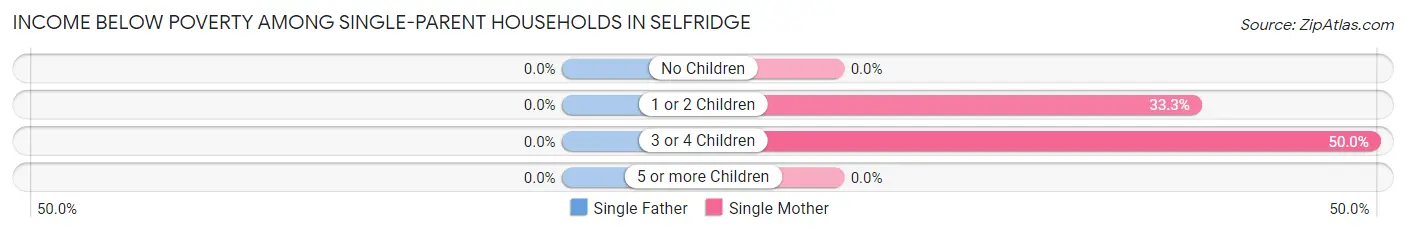 Income Below Poverty Among Single-Parent Households in Selfridge