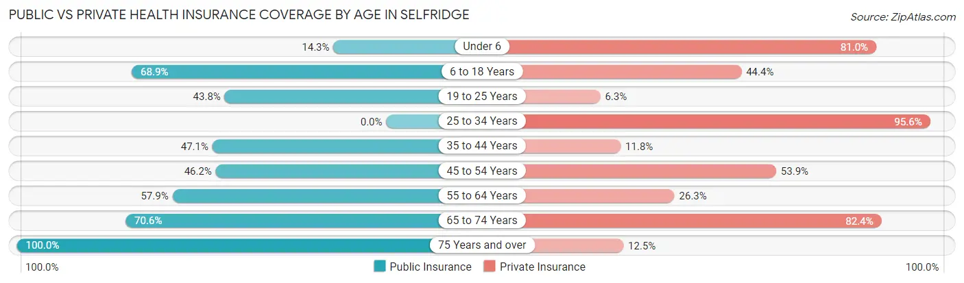 Public vs Private Health Insurance Coverage by Age in Selfridge