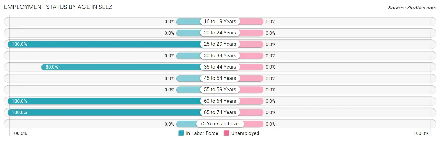 Employment Status by Age in Selz