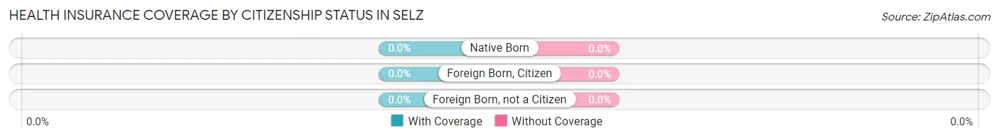 Health Insurance Coverage by Citizenship Status in Selz