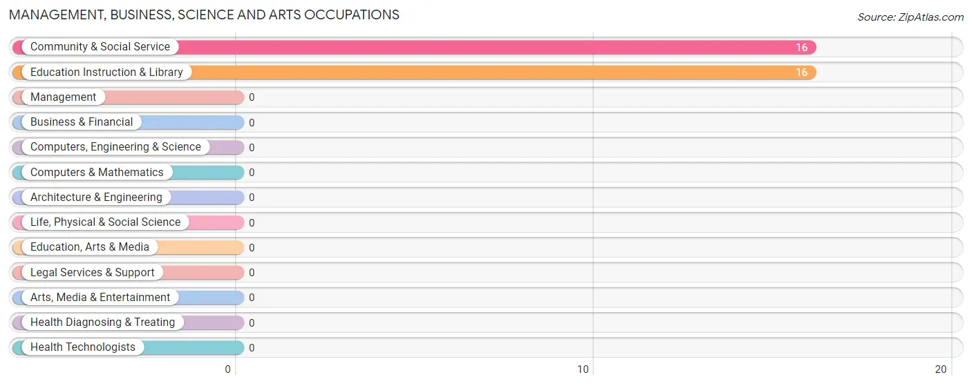 Management, Business, Science and Arts Occupations in Selz