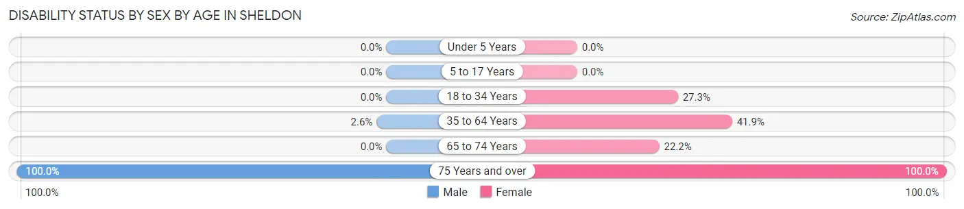 Disability Status by Sex by Age in Sheldon