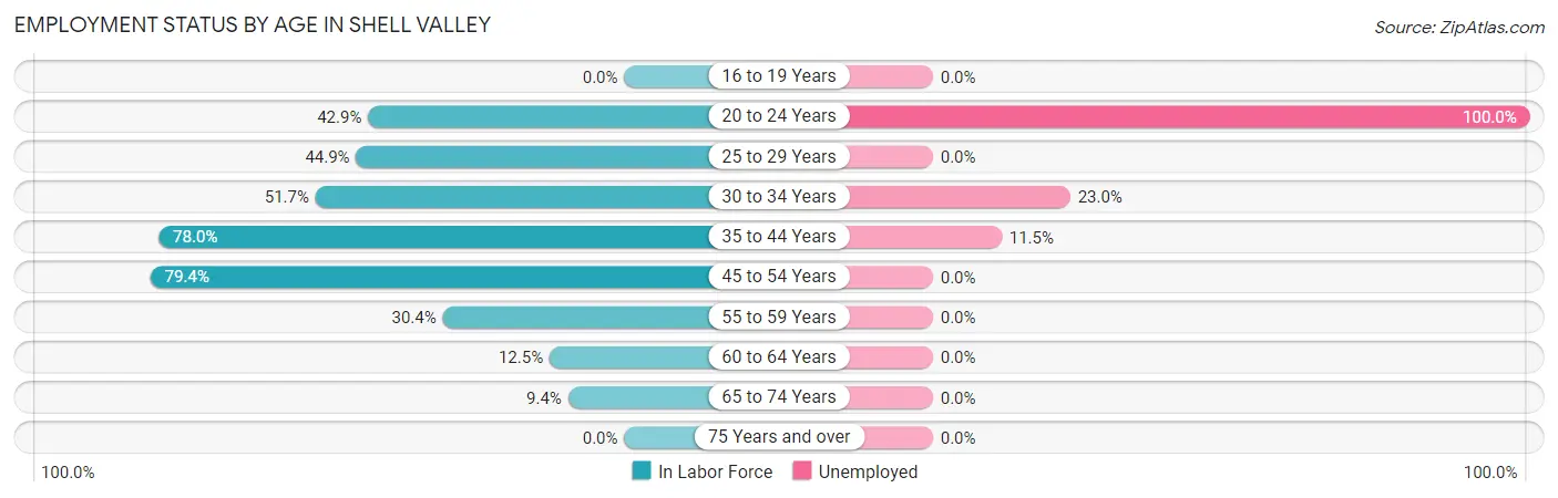 Employment Status by Age in Shell Valley