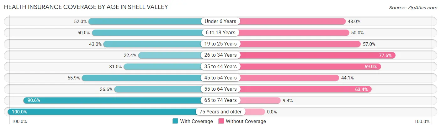 Health Insurance Coverage by Age in Shell Valley