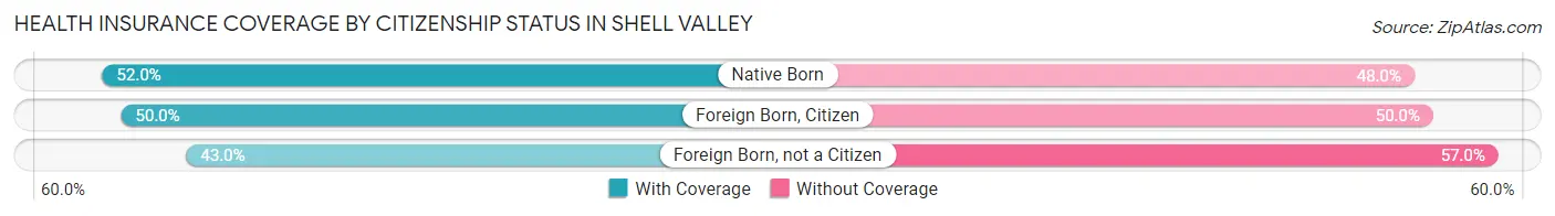 Health Insurance Coverage by Citizenship Status in Shell Valley