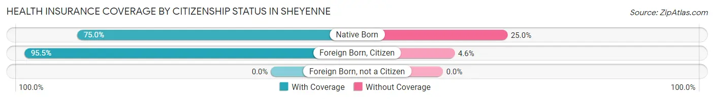 Health Insurance Coverage by Citizenship Status in Sheyenne