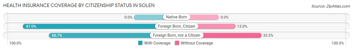Health Insurance Coverage by Citizenship Status in Solen