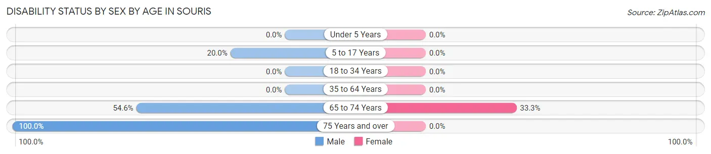 Disability Status by Sex by Age in Souris