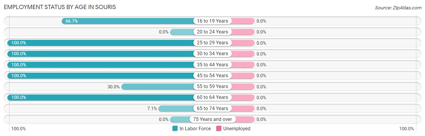 Employment Status by Age in Souris