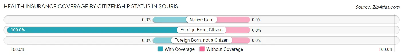 Health Insurance Coverage by Citizenship Status in Souris