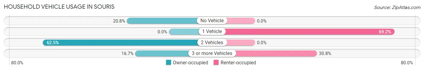 Household Vehicle Usage in Souris